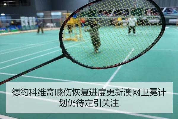 德约科维奇膝伤恢复进度更新澳网卫冕计划仍待定引关注